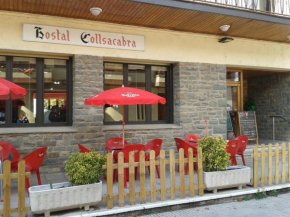 Hostal Collsacabra